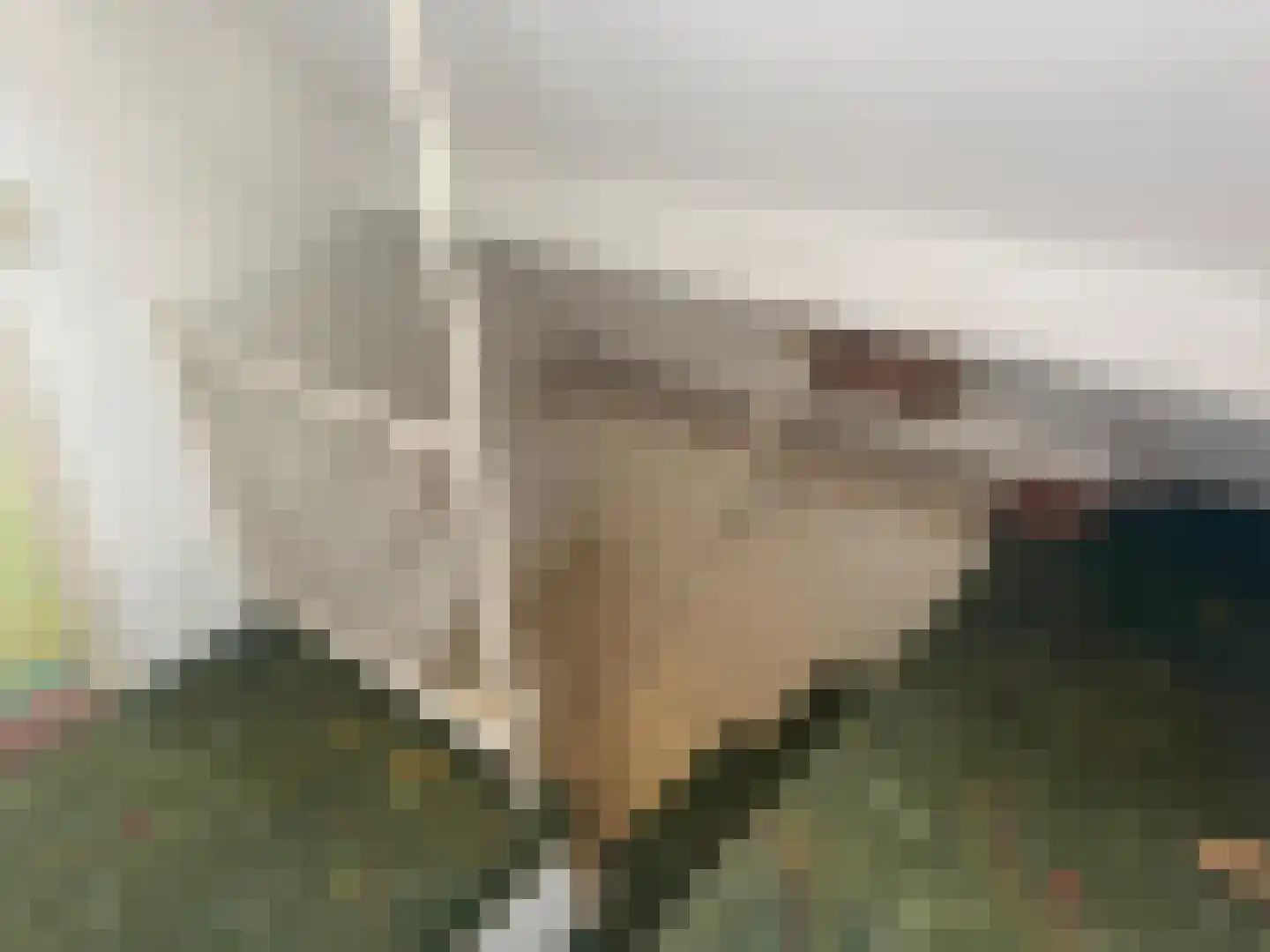 Duinstraat 6 Zandvoort thumbnail 13