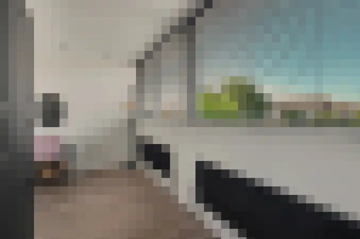 Duinstraat 80 Monster thumbnail 15
