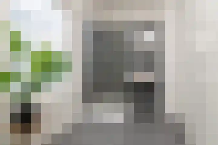 Duinstraat 83 A Den Haag thumbnail 21