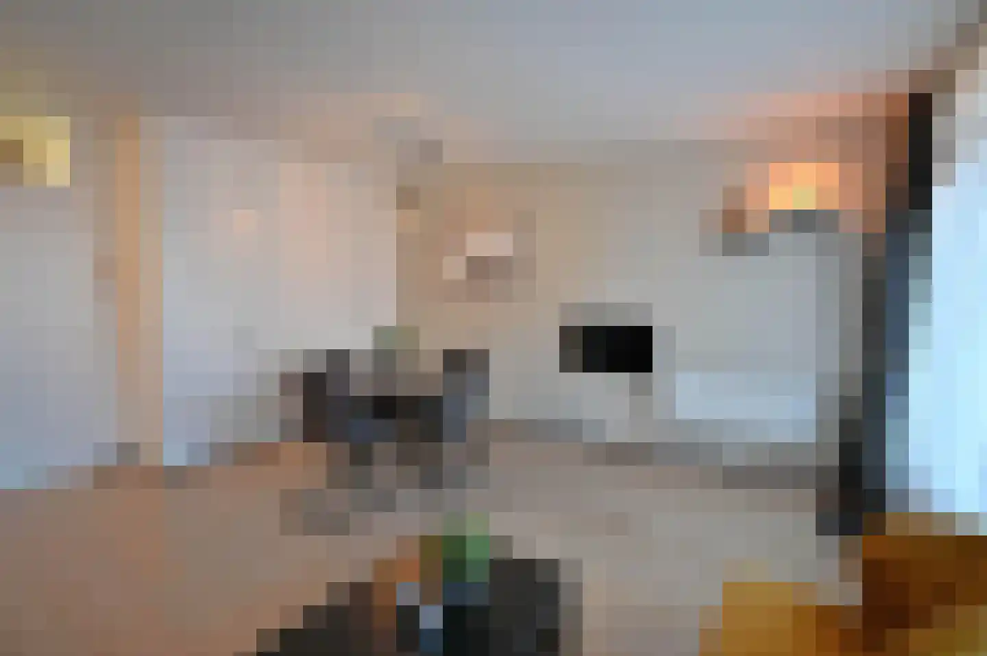 Duinstraatje 27 Zoutelande thumbnail 22