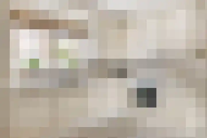 Duinstraatje 6 Zoutelande thumbnail 11