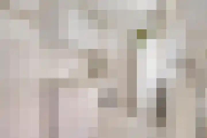 Duinstraatje 6 Zoutelande thumbnail 12