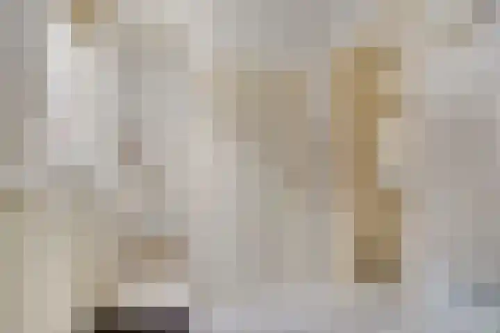 Duinstraatje 6 Zoutelande thumbnail 13