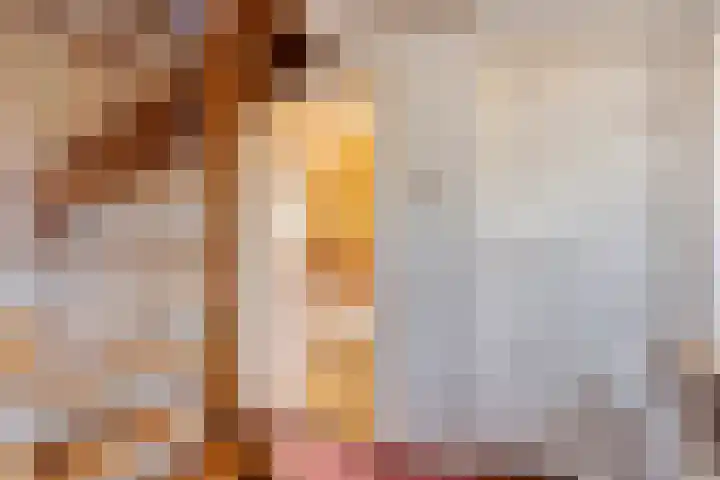 Duinstraatje 6 Zoutelande thumbnail 14