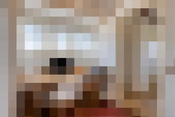 Duinstraatje 6 Zoutelande thumbnail 15