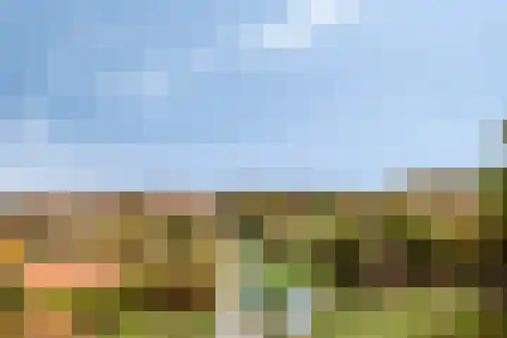 Duinstraatje 6 Zoutelande thumbnail 18
