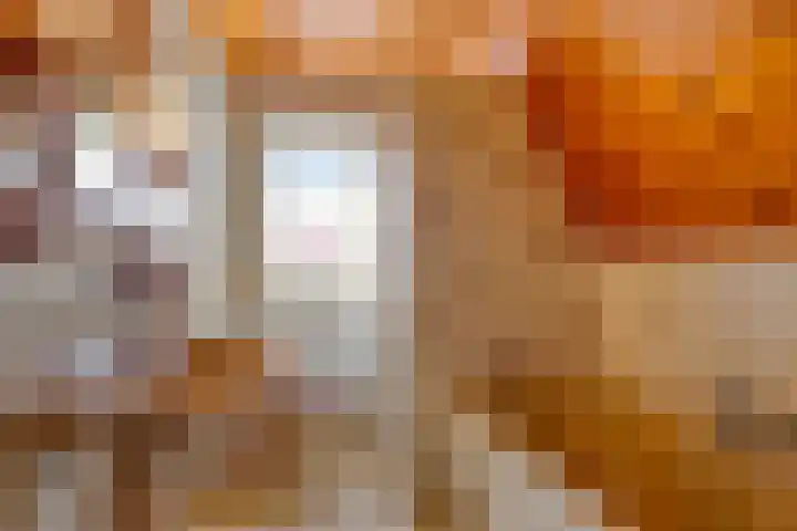 Duinstraatje 6 Zoutelande thumbnail 19