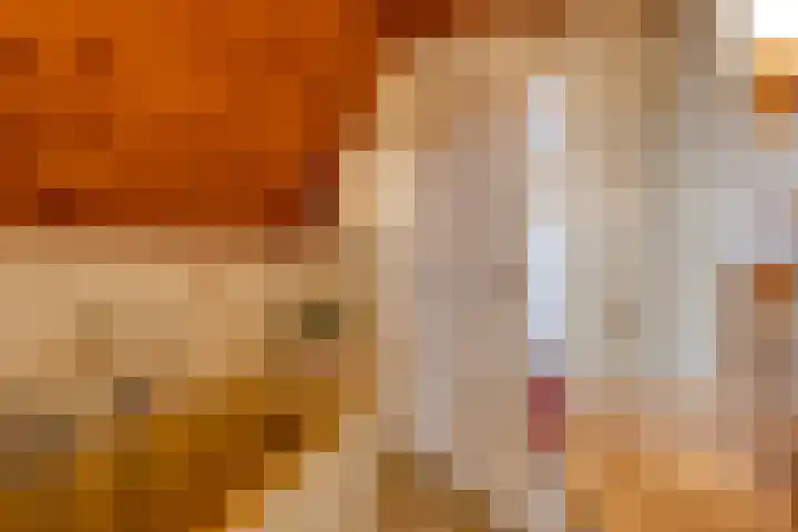 Duinstraatje 6 Zoutelande thumbnail 20