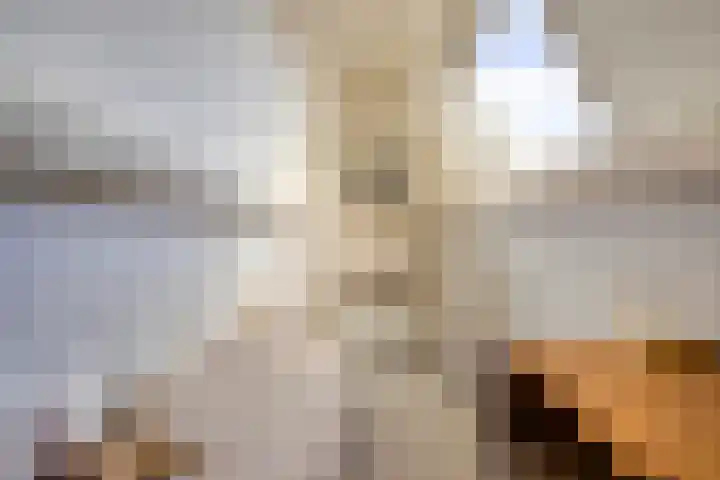 Duinstraatje 6 Zoutelande thumbnail 23