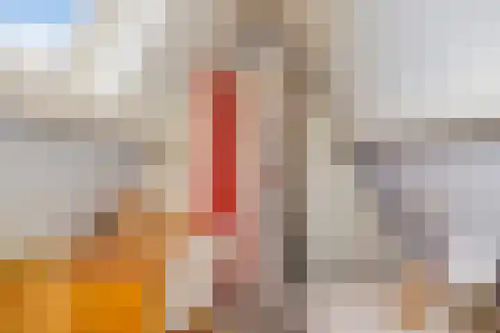 Duinstraatje 6 Zoutelande thumbnail 24