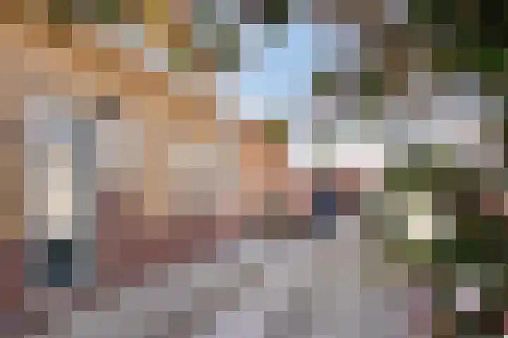 Duinstraatje 6 Zoutelande thumbnail 26