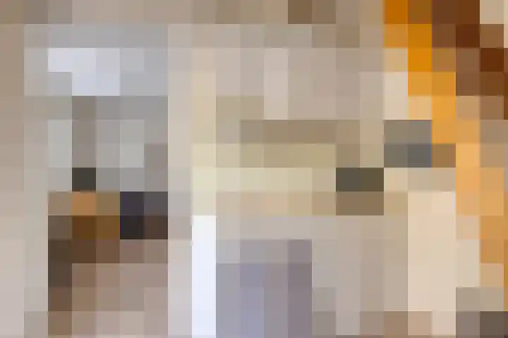 Duinstraatje 6 Zoutelande thumbnail 30