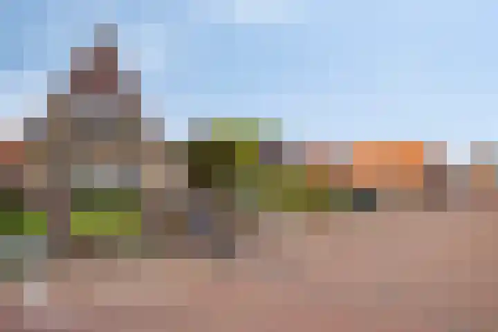 Duinstraatje 6 Zoutelande thumbnail 39