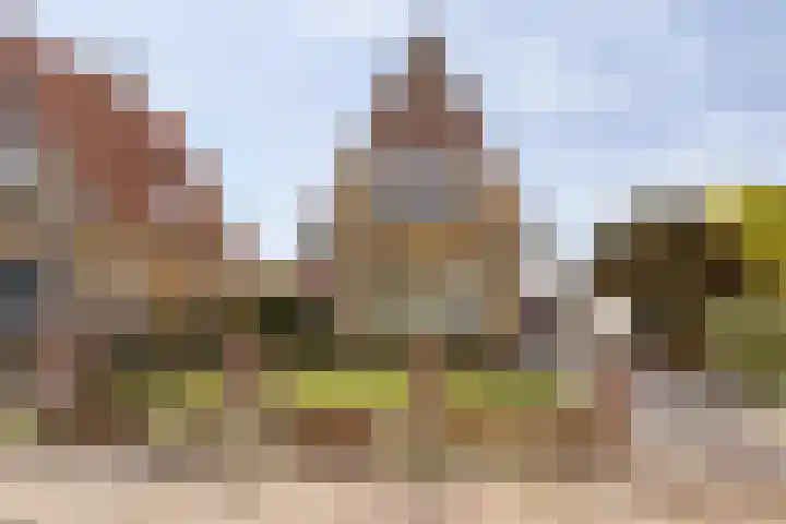 Duinstraatje 6 Zoutelande thumbnail 4