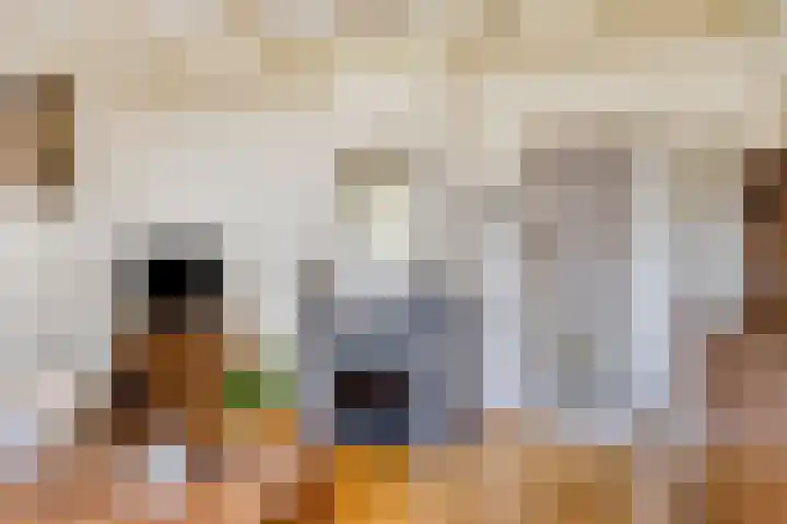 Duinstraatje 6 Zoutelande thumbnail 6