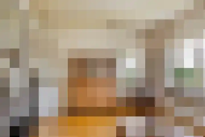 Duinstraatje 6 Zoutelande thumbnail 7