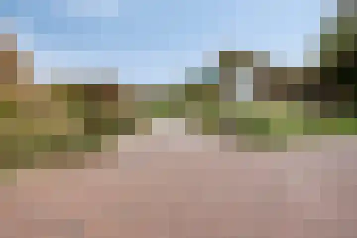 Duinstraatje 6 Zoutelande thumbnail 8