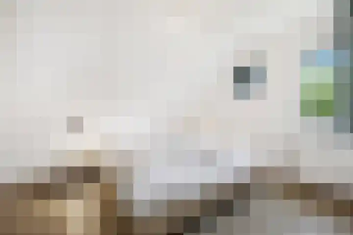 Duinstruweel 16 Cadzand thumbnail 16