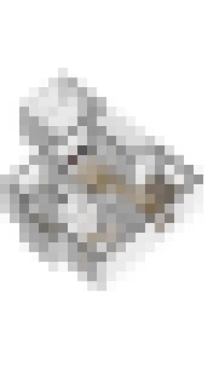 Duinstruweel 16 Cadzand thumbnail 22