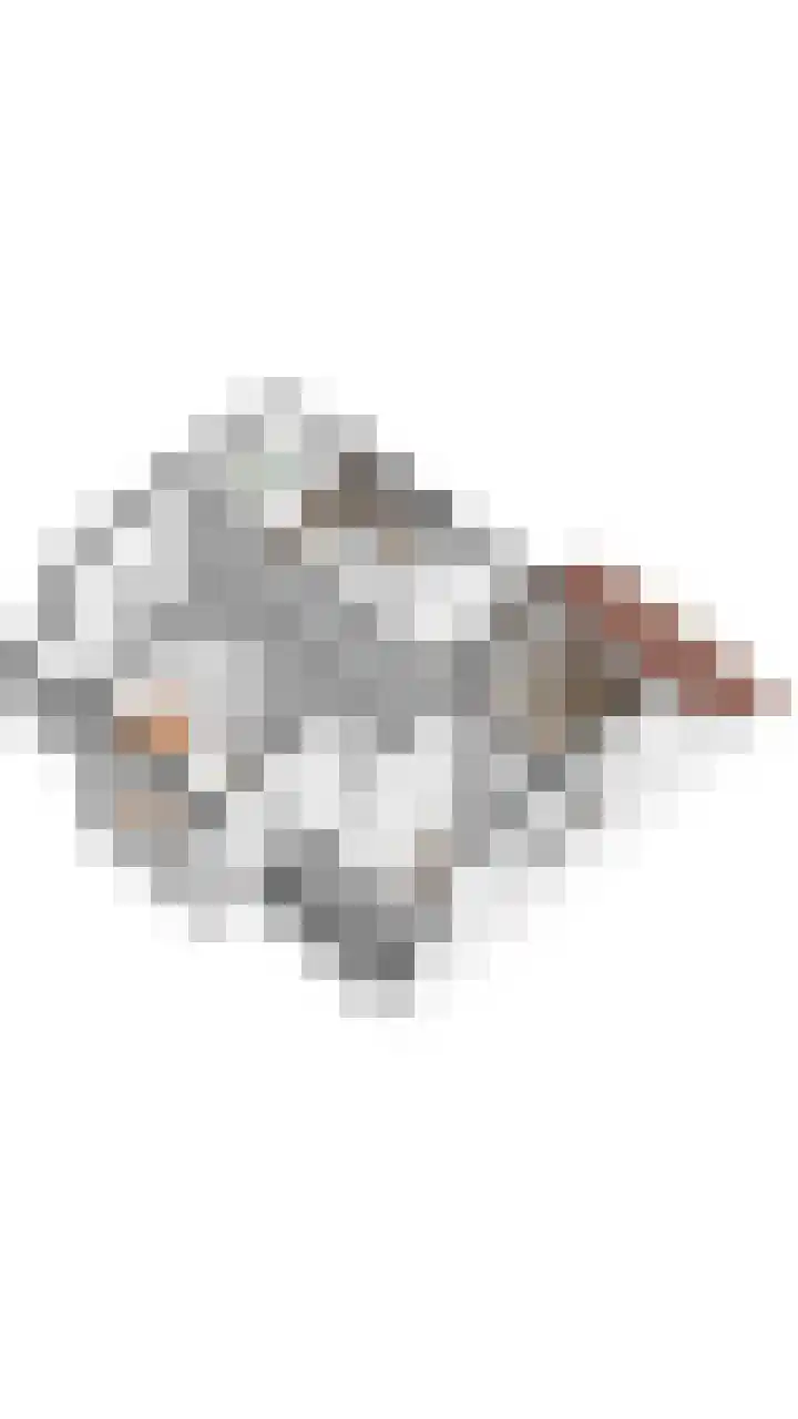 Duinstruweel 16 Cadzand thumbnail 23