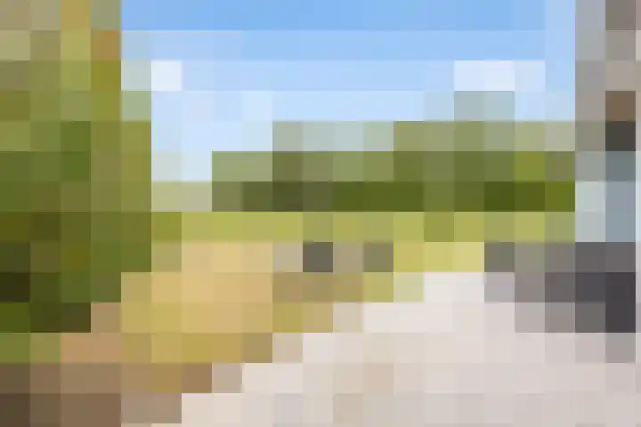 Duinstruweel 16 Cadzand thumbnail 5