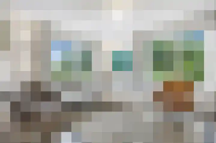Duinstruweel 16 Cadzand thumbnail 7