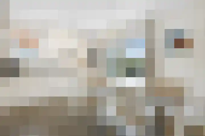 Duinstruweel 16 Cadzand thumbnail 9