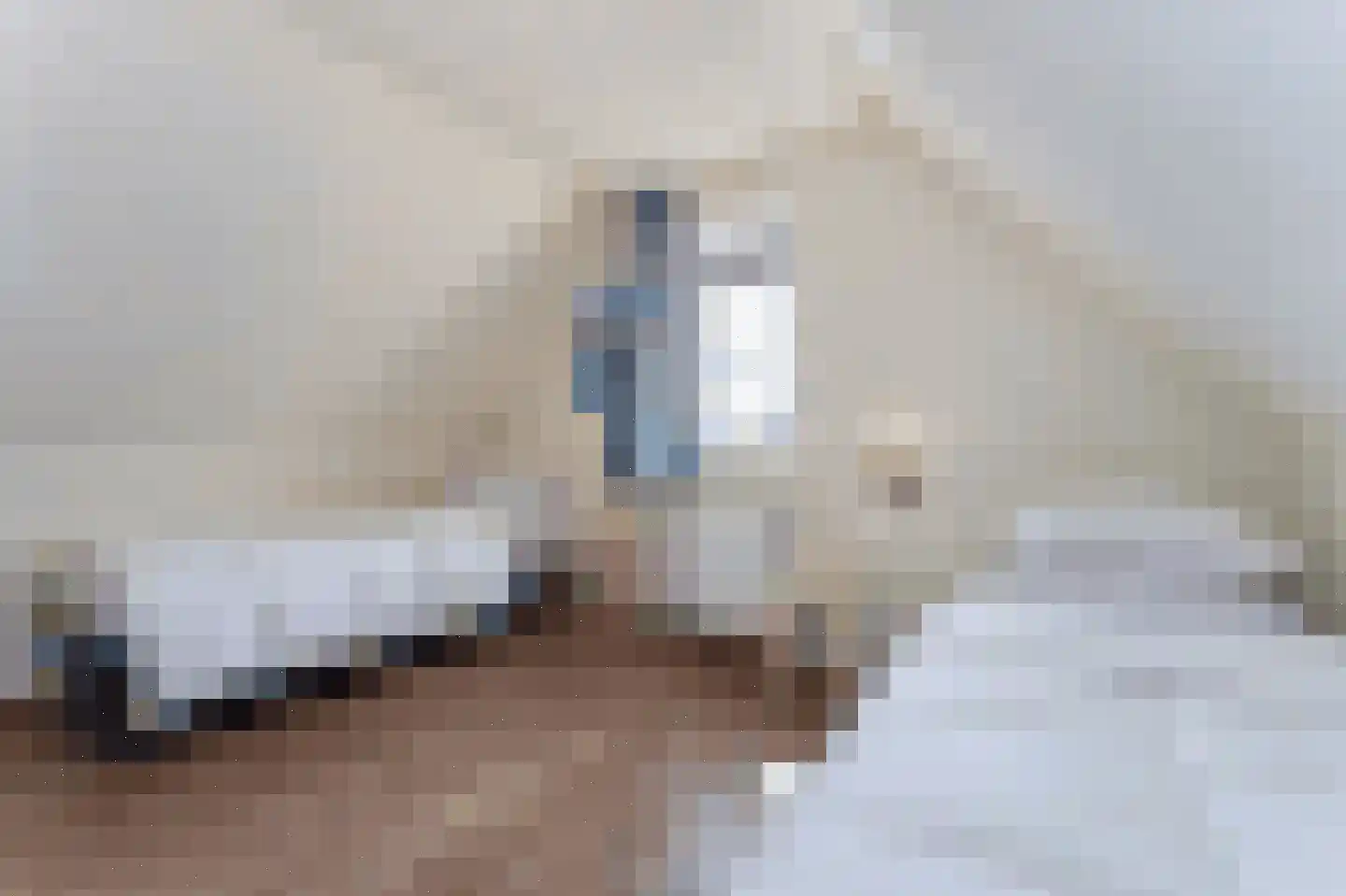 Duinstruweel 18 Cadzand thumbnail 14