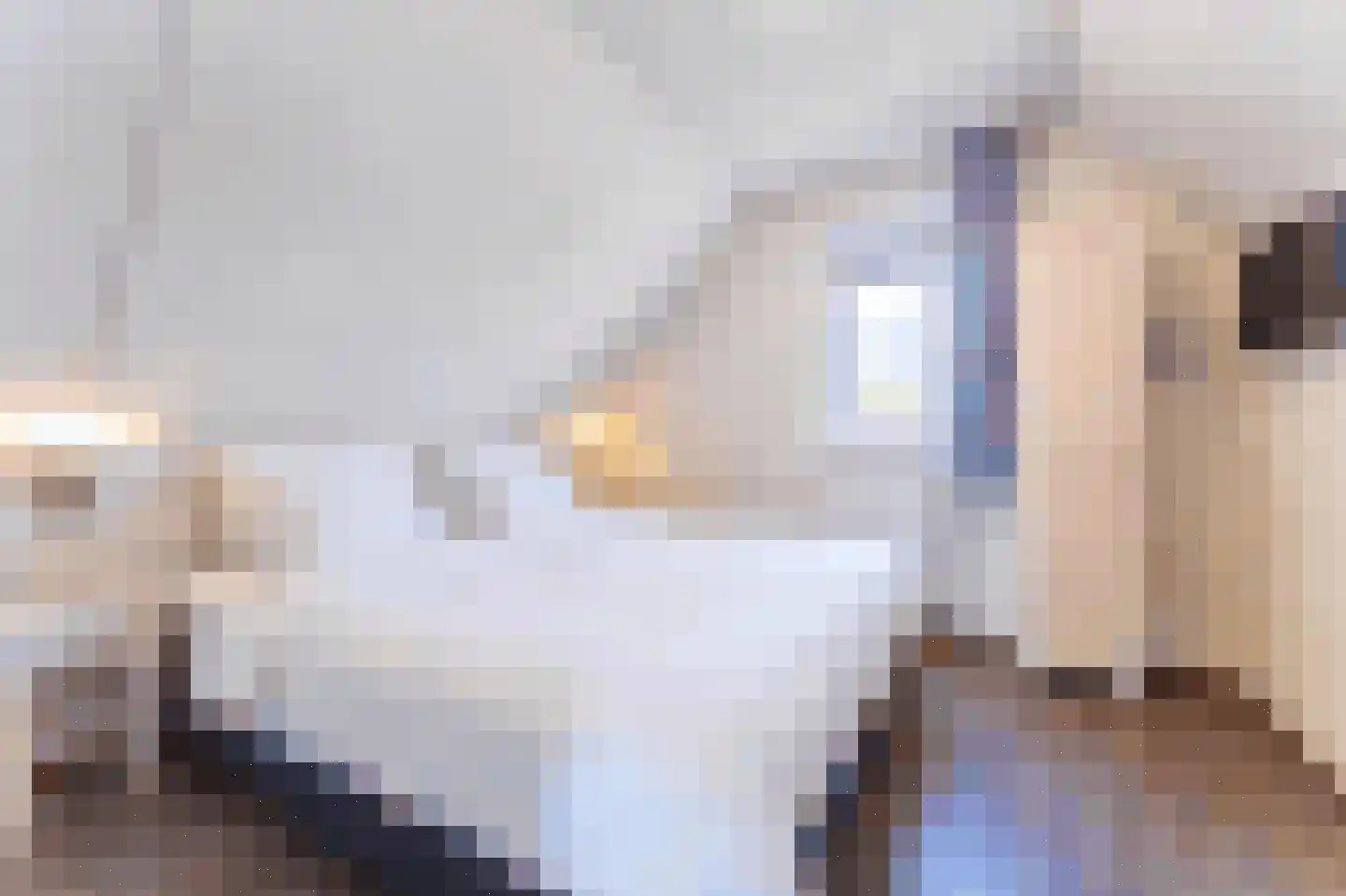 Duinstruweel 18 Cadzand thumbnail 15