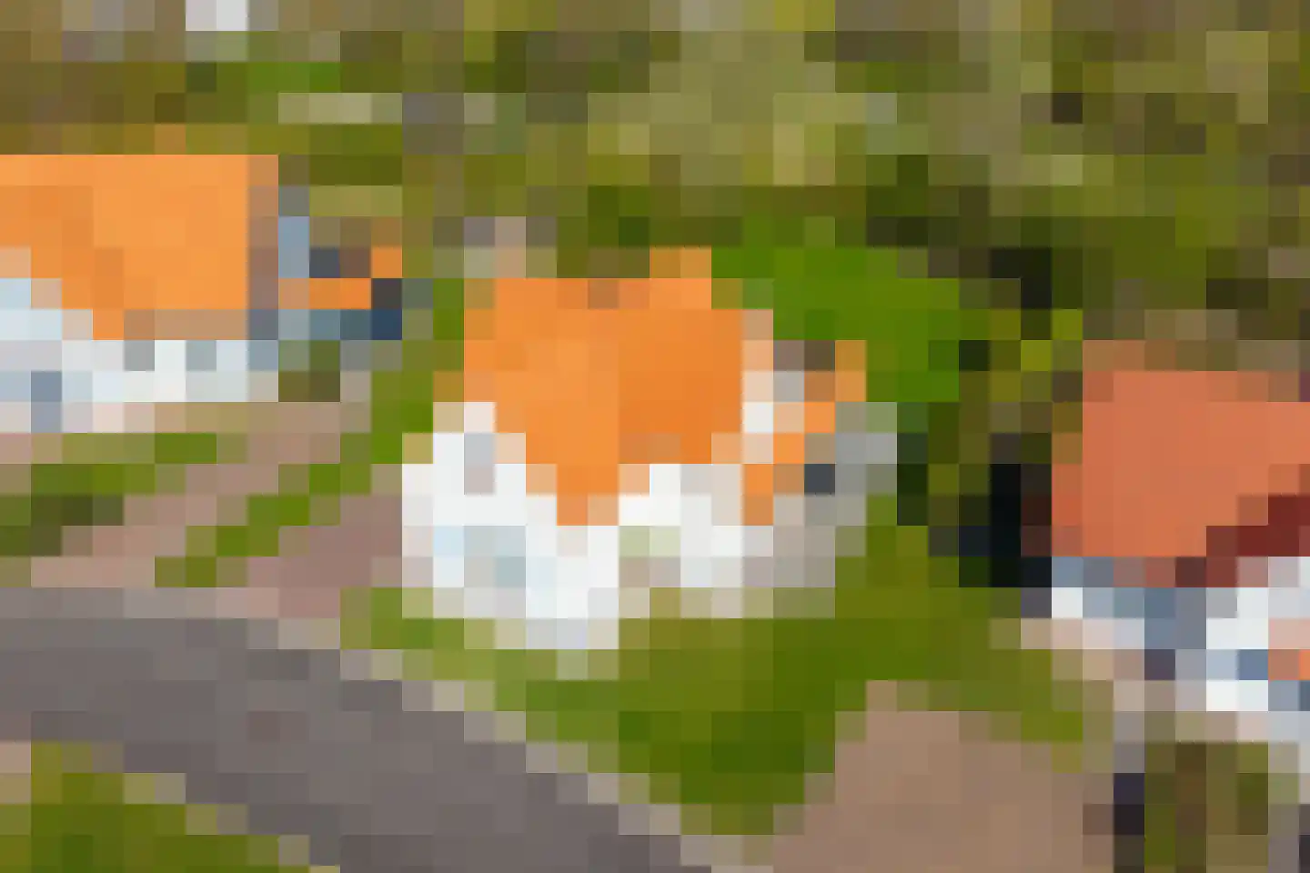 Duinstruweel 18 Cadzand thumbnail 29