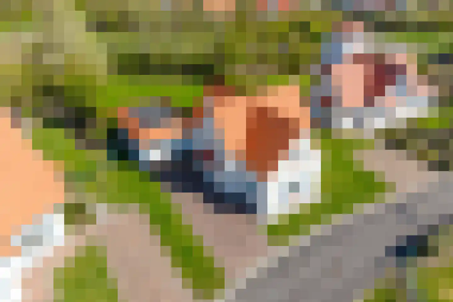 Duinstruweel 18 Cadzand thumbnail 30
