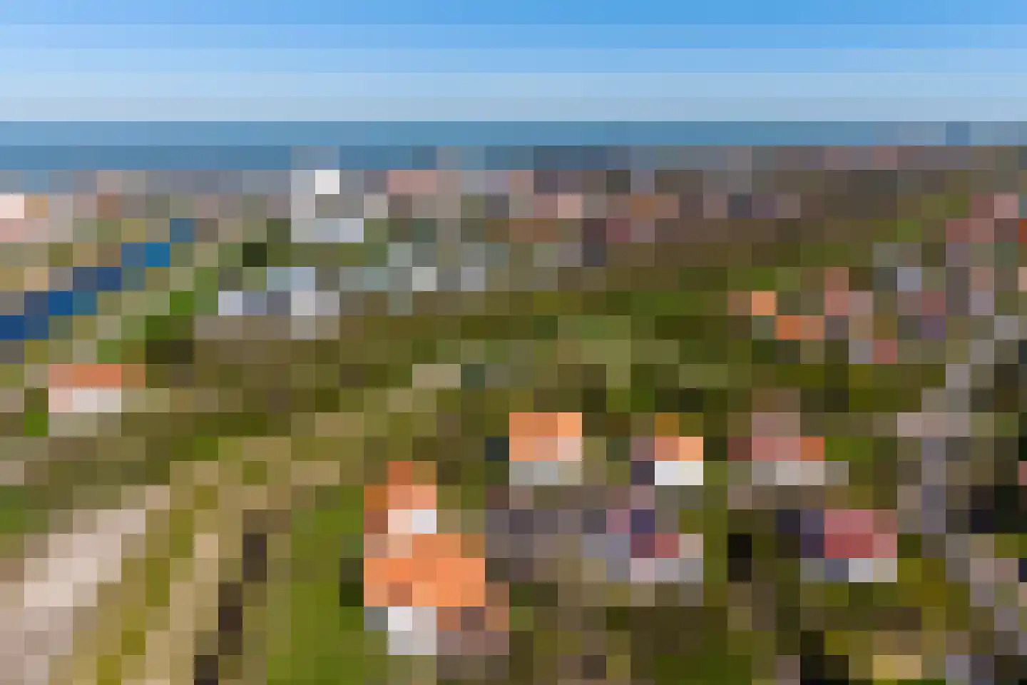 Duinstruweel 18 Cadzand thumbnail 32