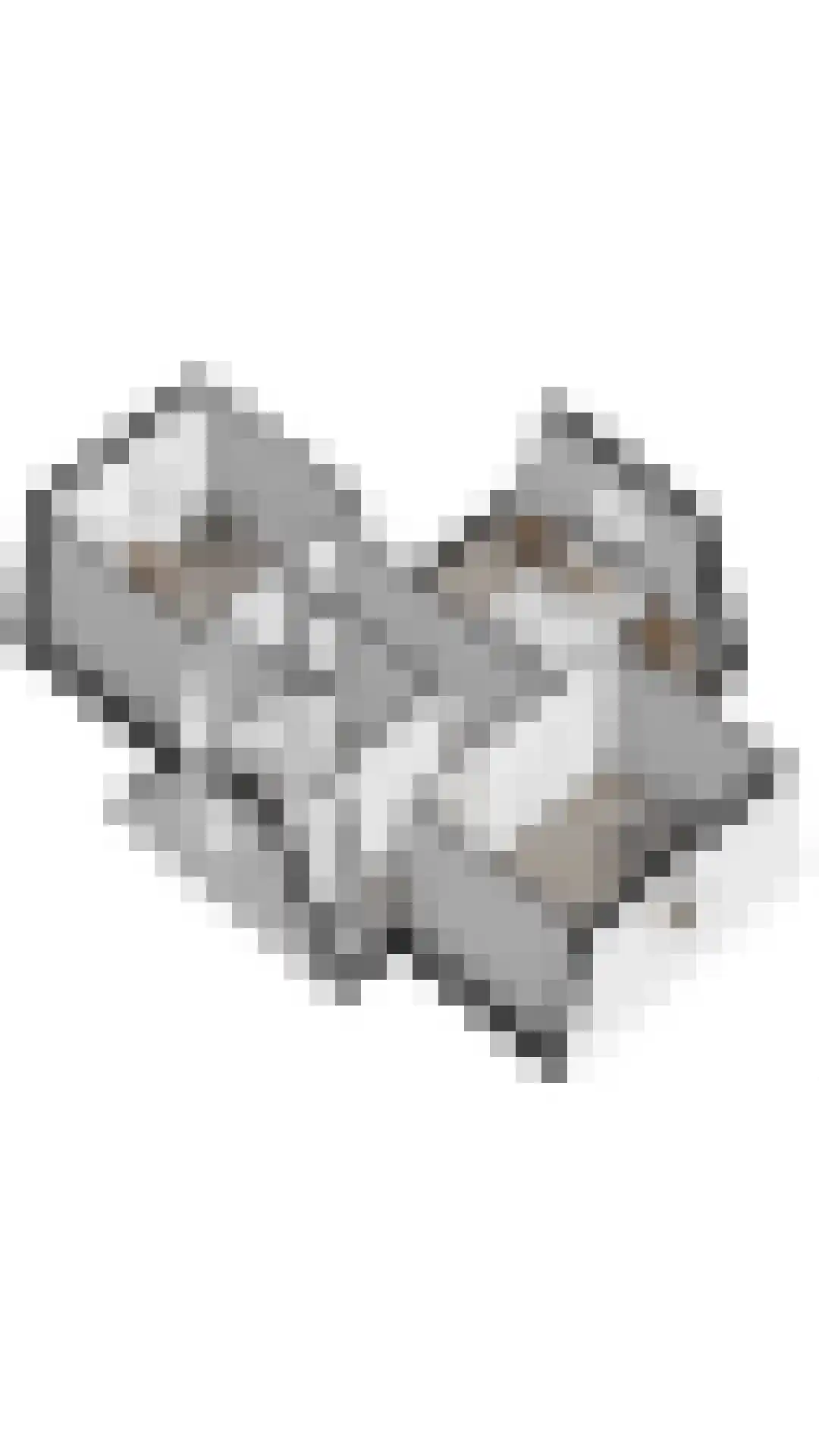 Duinstruweel 18 Cadzand thumbnail 35