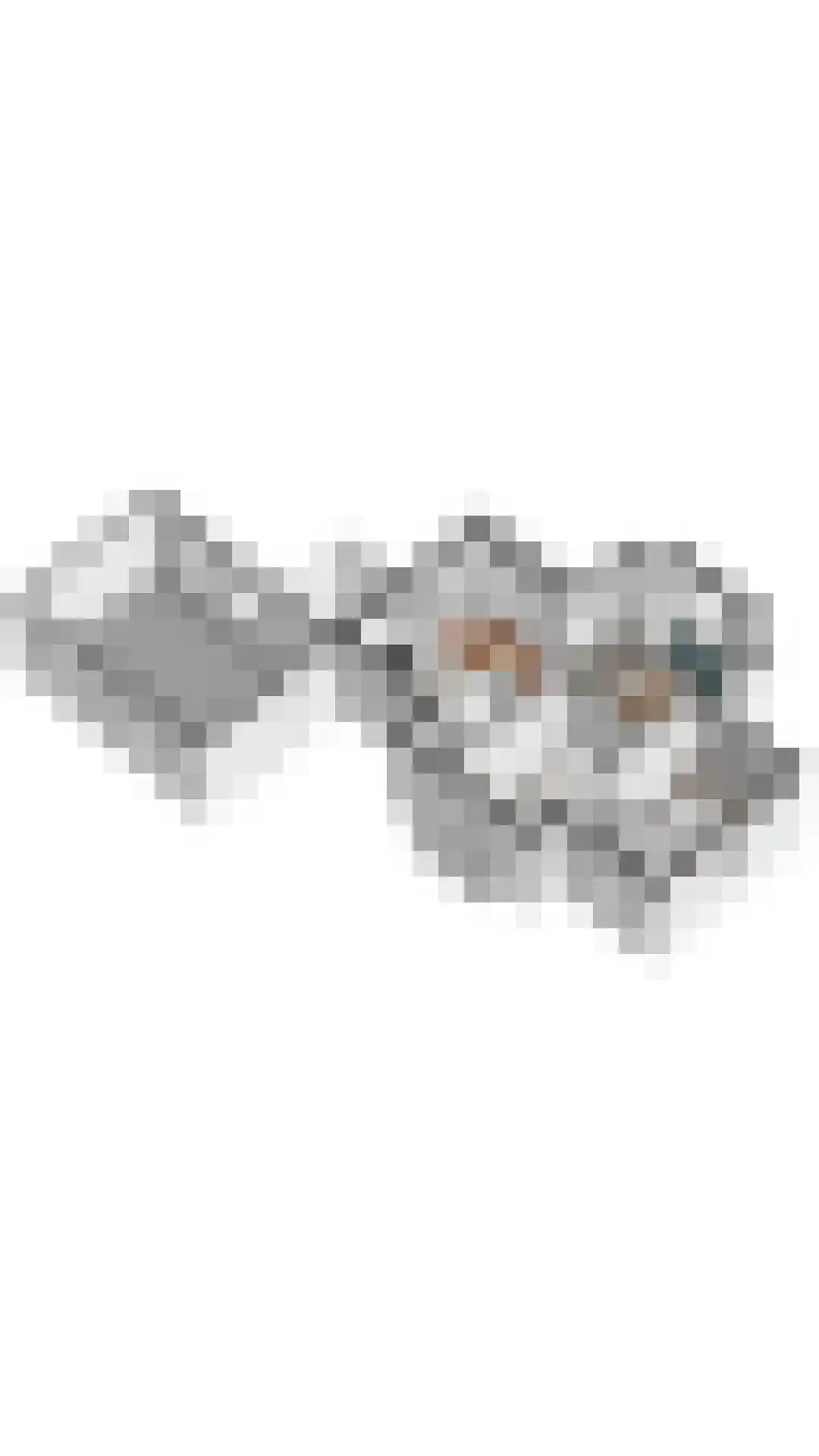 Duinstruweel 18 Cadzand thumbnail 36