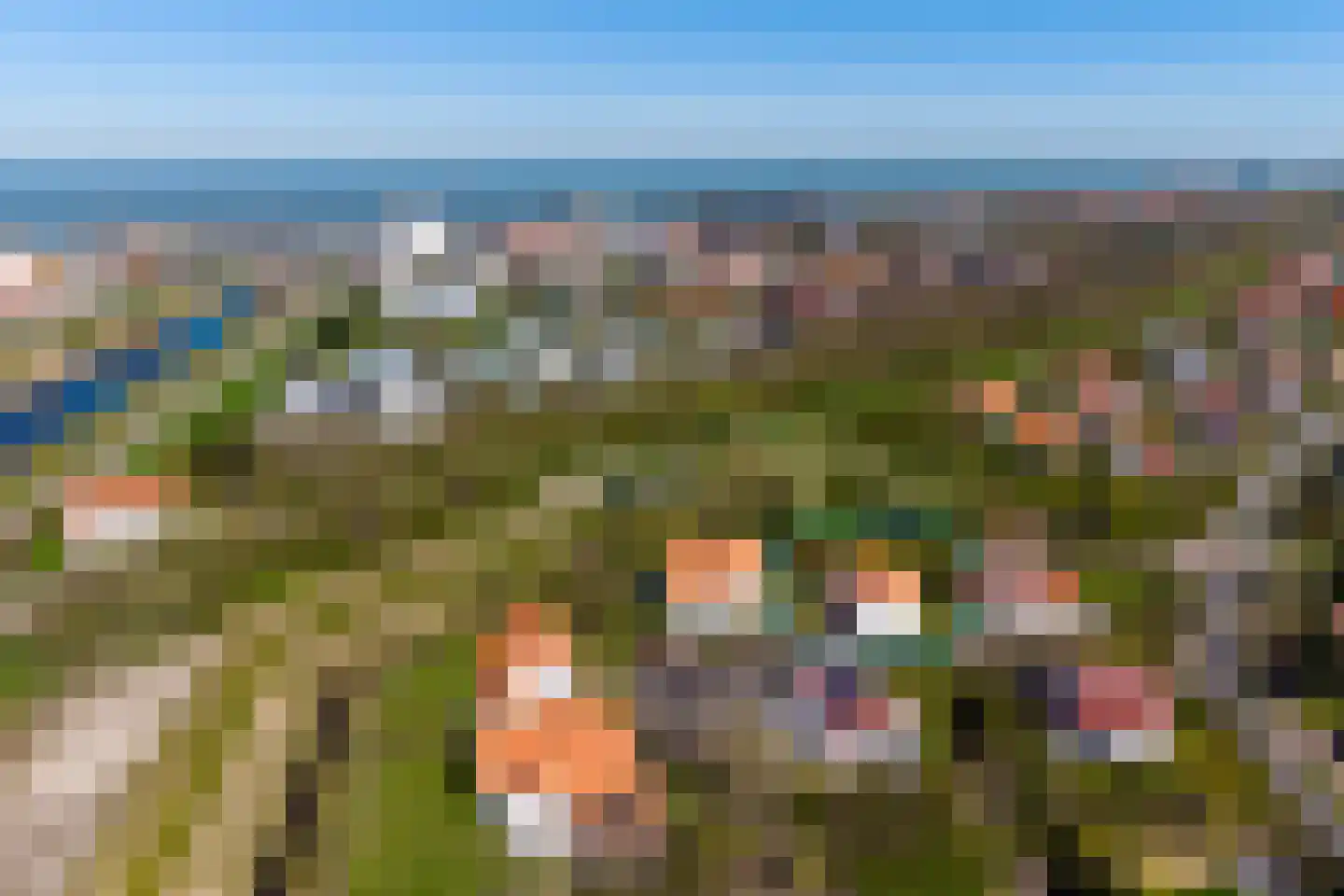 Duinstruweel 18 Cadzand thumbnail 8