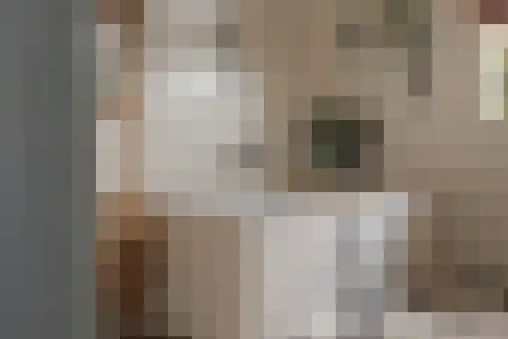 Duintjerlaan 16 Wildervank thumbnail 18