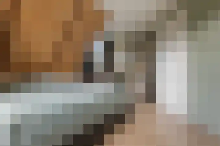 Duintjerlaan 16 Wildervank thumbnail 21