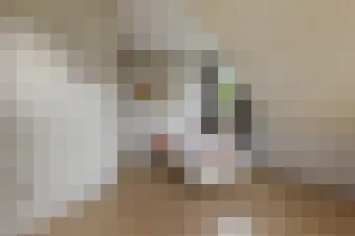 Duintjerlaan 16 Wildervank thumbnail 22