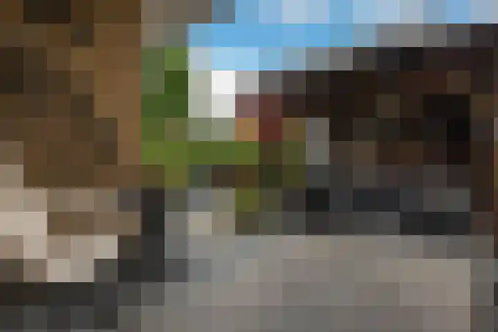 Duintjerlaan 16 Wildervank thumbnail 26