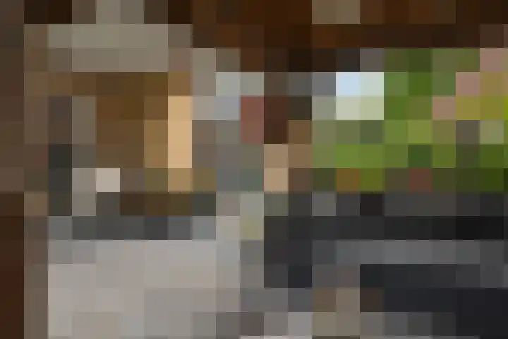 Duintjerlaan 16 Wildervank thumbnail 27