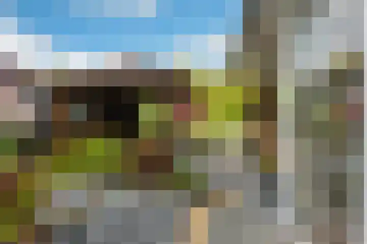 Duintjerlaan 16 Wildervank thumbnail 28