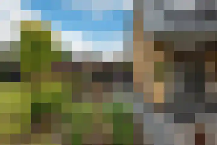 Duintjerlaan 16 Wildervank thumbnail 29