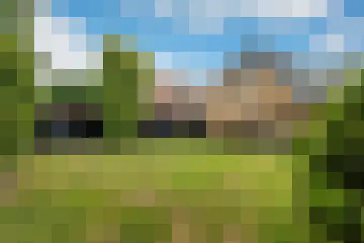 Duintjerlaan 16 Wildervank thumbnail 31