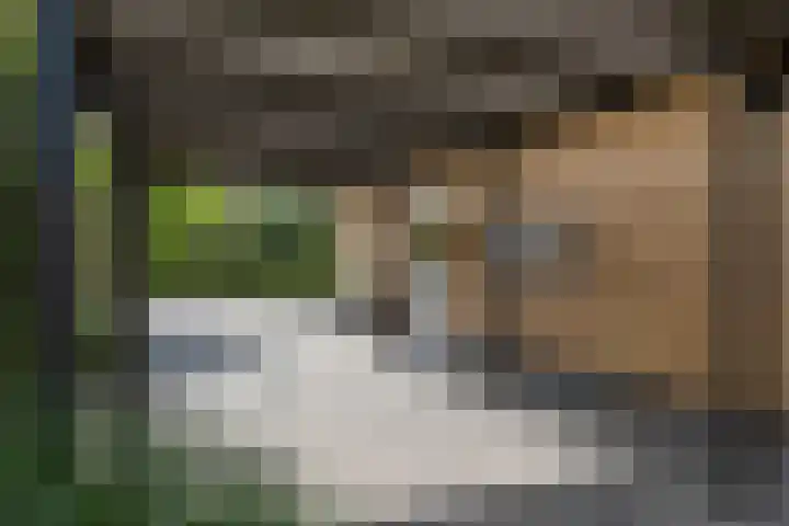 Duintjerlaan 16 Wildervank thumbnail 34