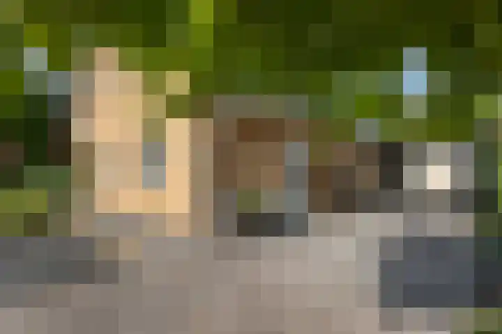 Duintjerlaan 16 Wildervank thumbnail 35