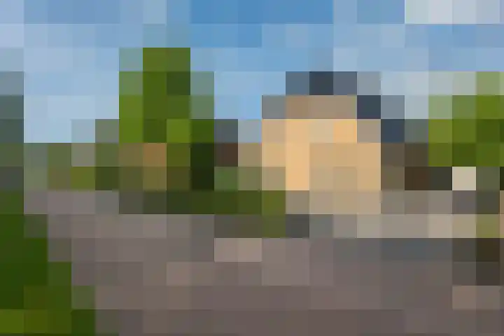 Duintjerlaan 16 Wildervank thumbnail 37