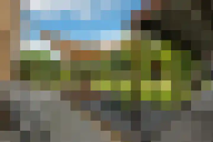 Duintjerlaan 16 Wildervank thumbnail 5