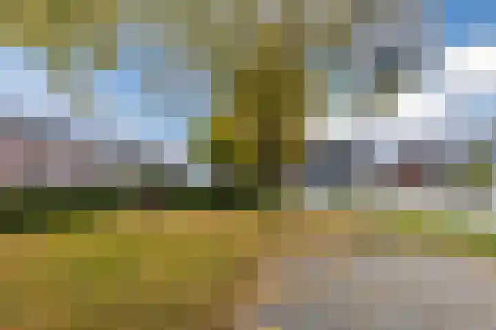 Duintjesplein 3 Hoogerheide thumbnail 37