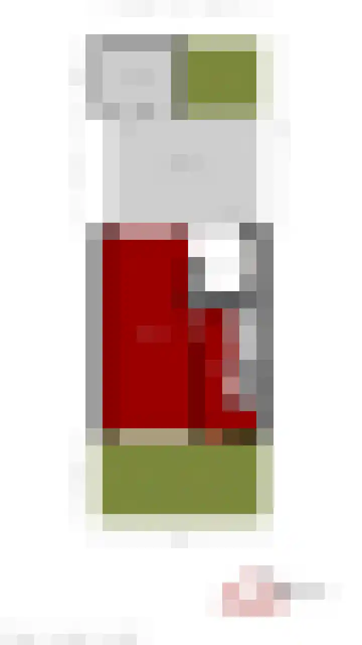 Duintjesplein 3 Hoogerheide thumbnail 43