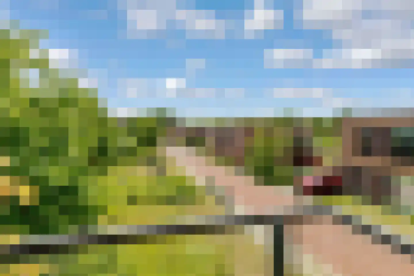 Duintop 11 Lelystad thumbnail 18